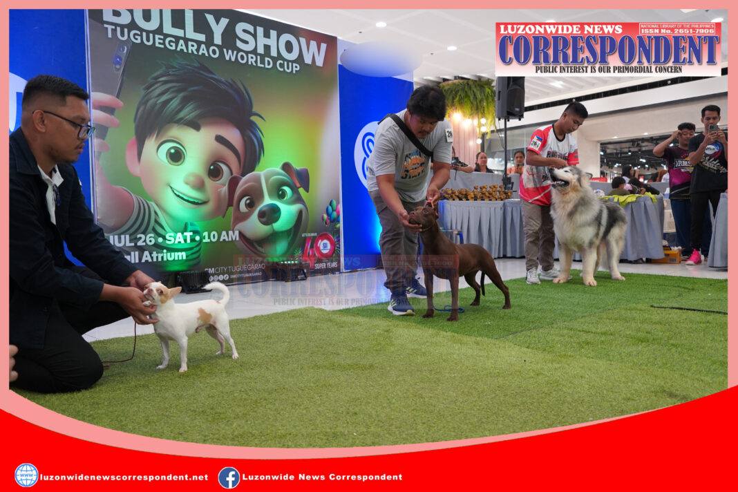LNC Dog Show